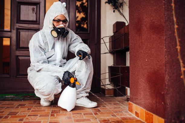 Reliable Cockroach Control contractor in Lake Park, GA by Nex Pest Control