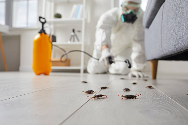 Trusted Cockroach Control service in Lake Park, GA - Nex Pest Control