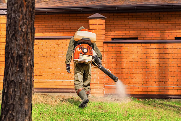 Trusted Termite Control service in Lake Park, GA - Nex Pest Control